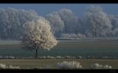 Niedersachsen